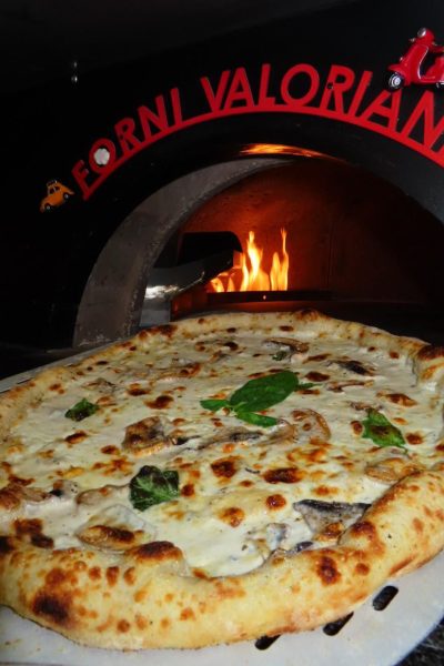 פיצה ברוטב שמנת פטריות